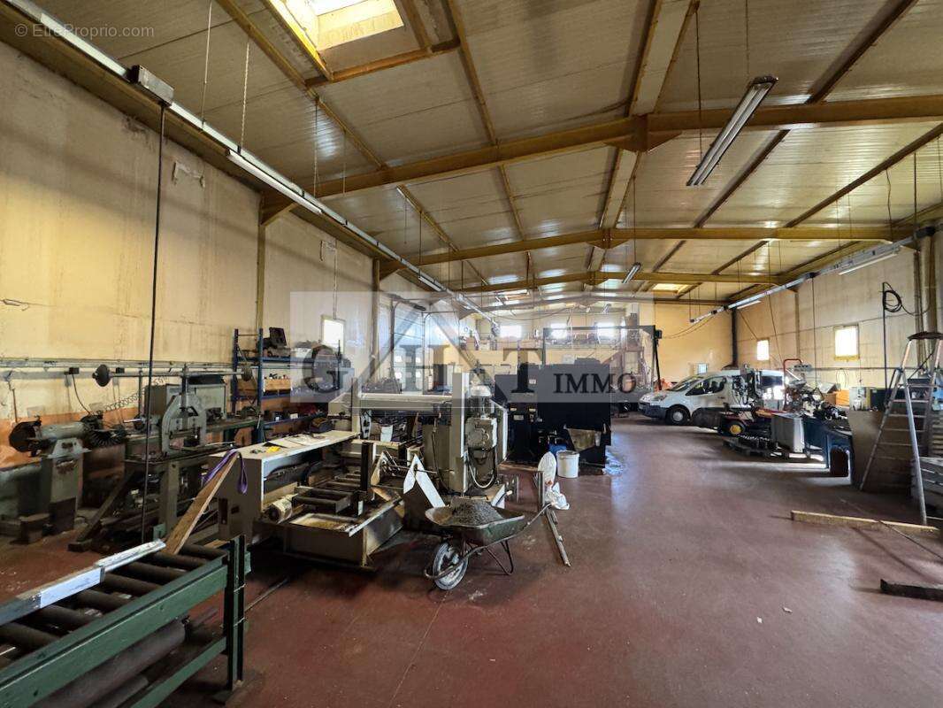 Commerce à SAINT-MAXIMIN