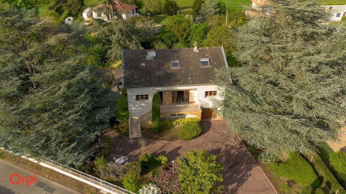 Maison à L'ARBRESLE