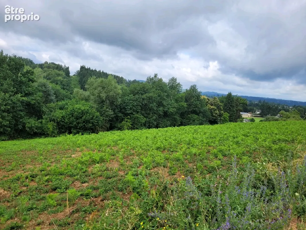 Terrain 4 856 m² à vendre à Lanobre (15270) - photo 2
