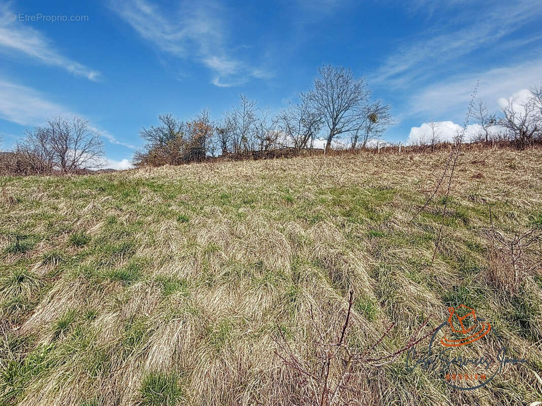 Maison à BELLEGARDE-SUR-VALSERINE