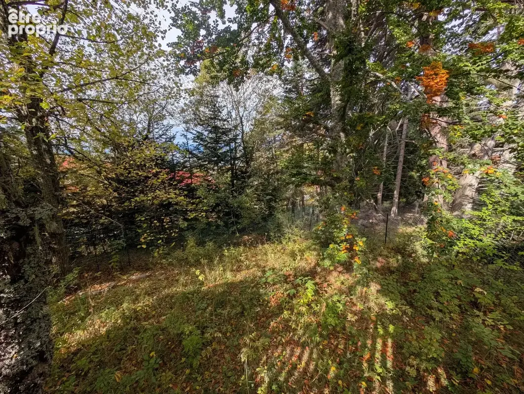 Peira cava : chalet avec terrain - photo 9