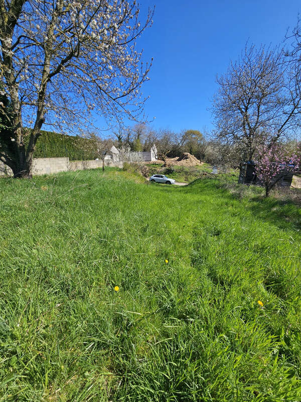 Terrain à ALLEREY-SUR-SAONE