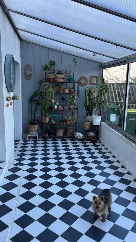 Maison à SAINT-PIERRE-D'OLERON