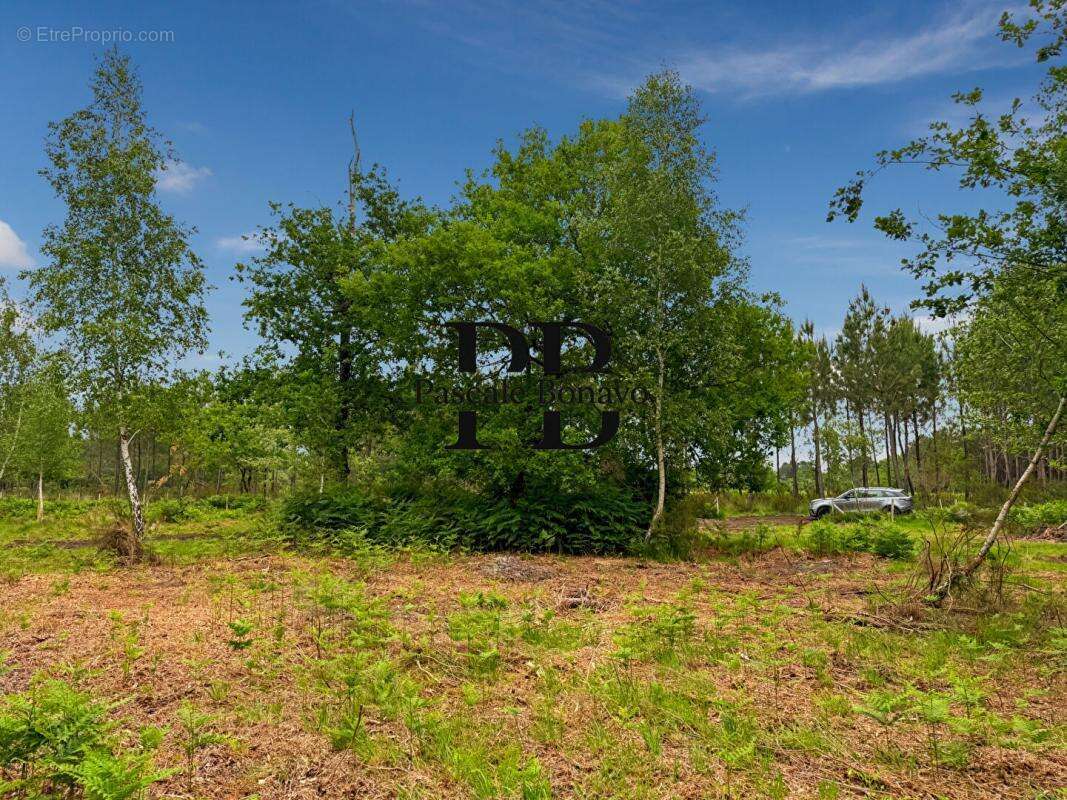 Terrain à VENDAYS-MONTALIVET