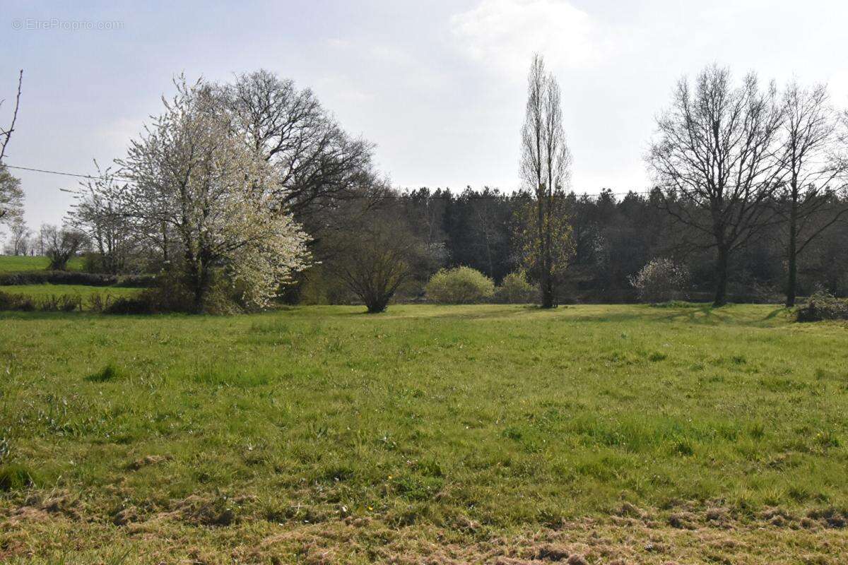 Terrain de loisirs La Plaine - photo 5