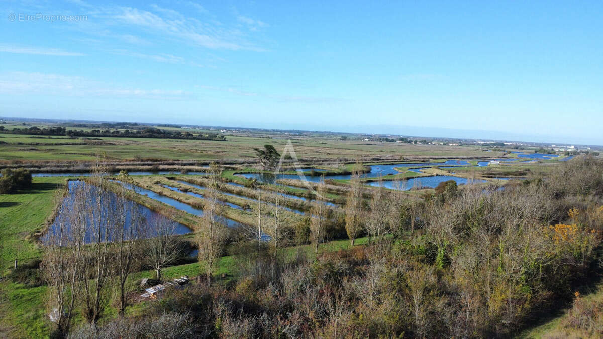 Terrain à JARD-SUR-MER