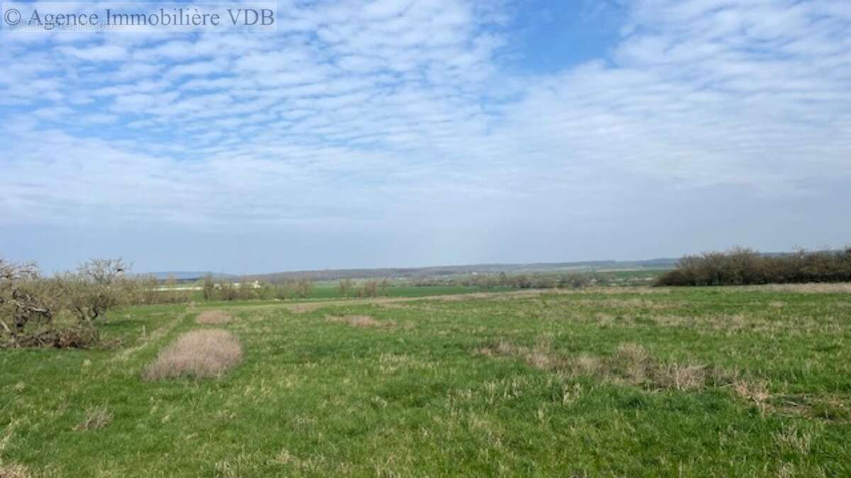 Terrain à HARAUCOURT