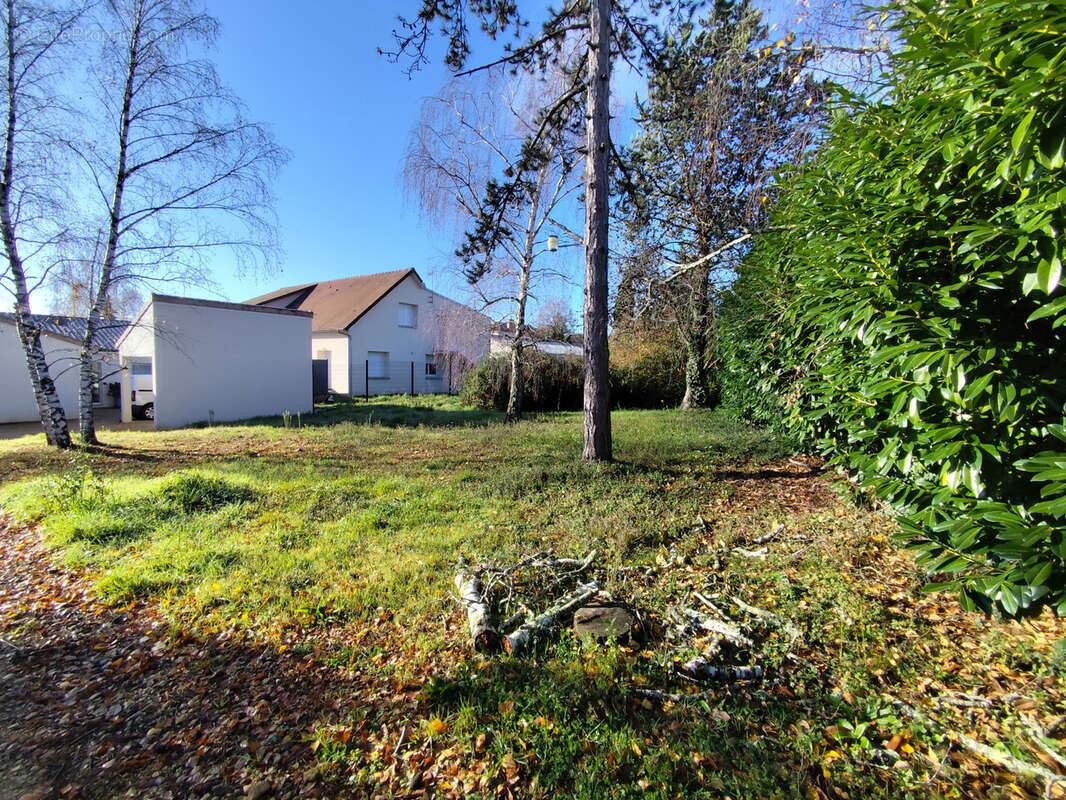 Terrain à SAINT-BENOIT