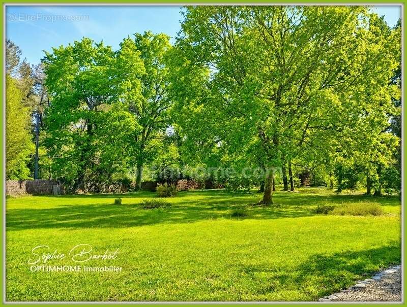 Exceptionnel à léognan, limite gradignan – propriété de caractère sur plus de 1,3 hectare de nature - photo 5