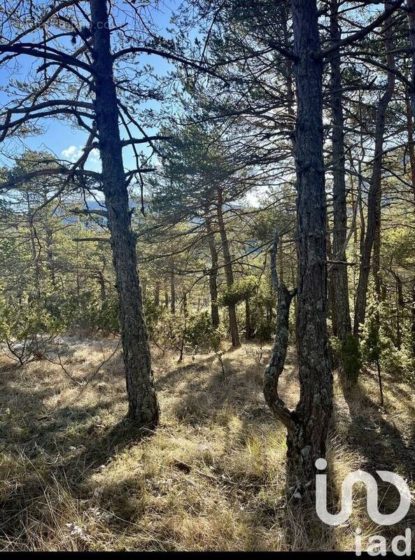 Photo 1 - Terrain à LA MARTRE