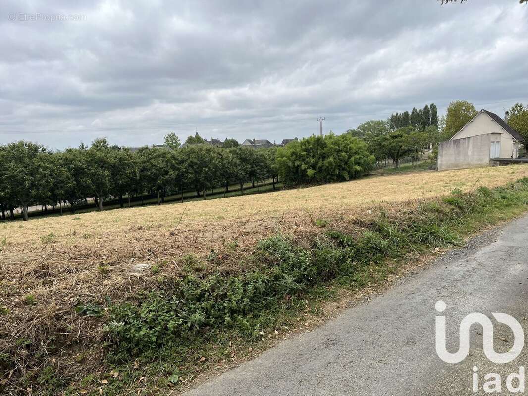 Photo 2 - Terrain à ALLASSAC