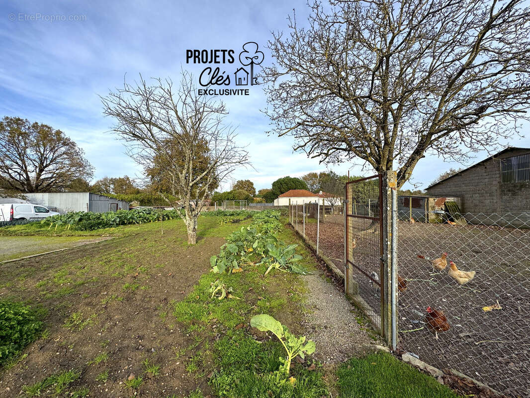 Terrain constructible 713 m2   Hors lotissement à vendre à Grosbreuil - photo 4