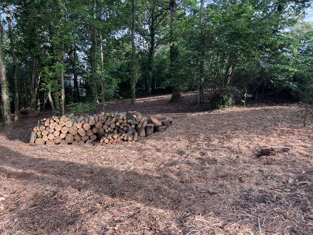 Sables d'or Les Pins 22240, magnifique terrain libre de constructeur - photo 3