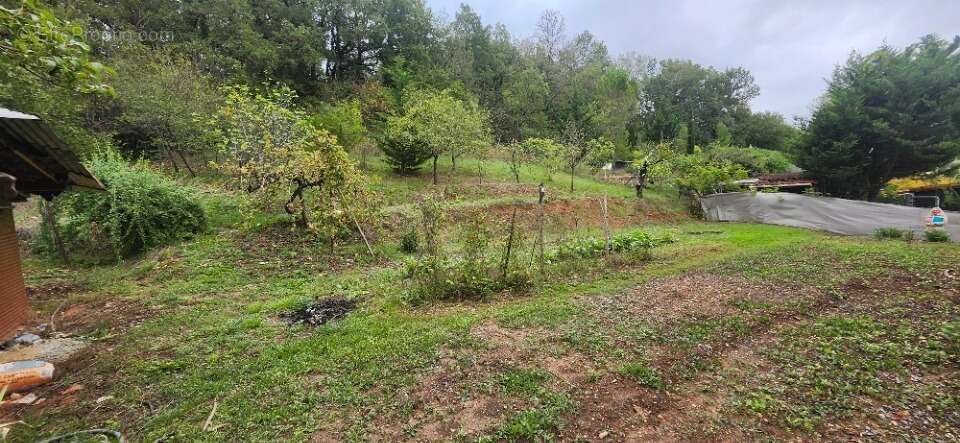 Terrain à PUYGOUZON