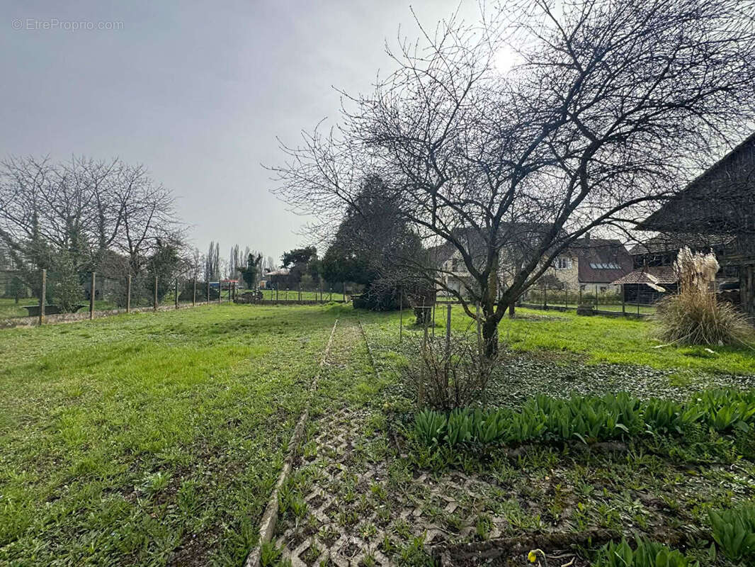 Terrain à GUNDOLSHEIM
