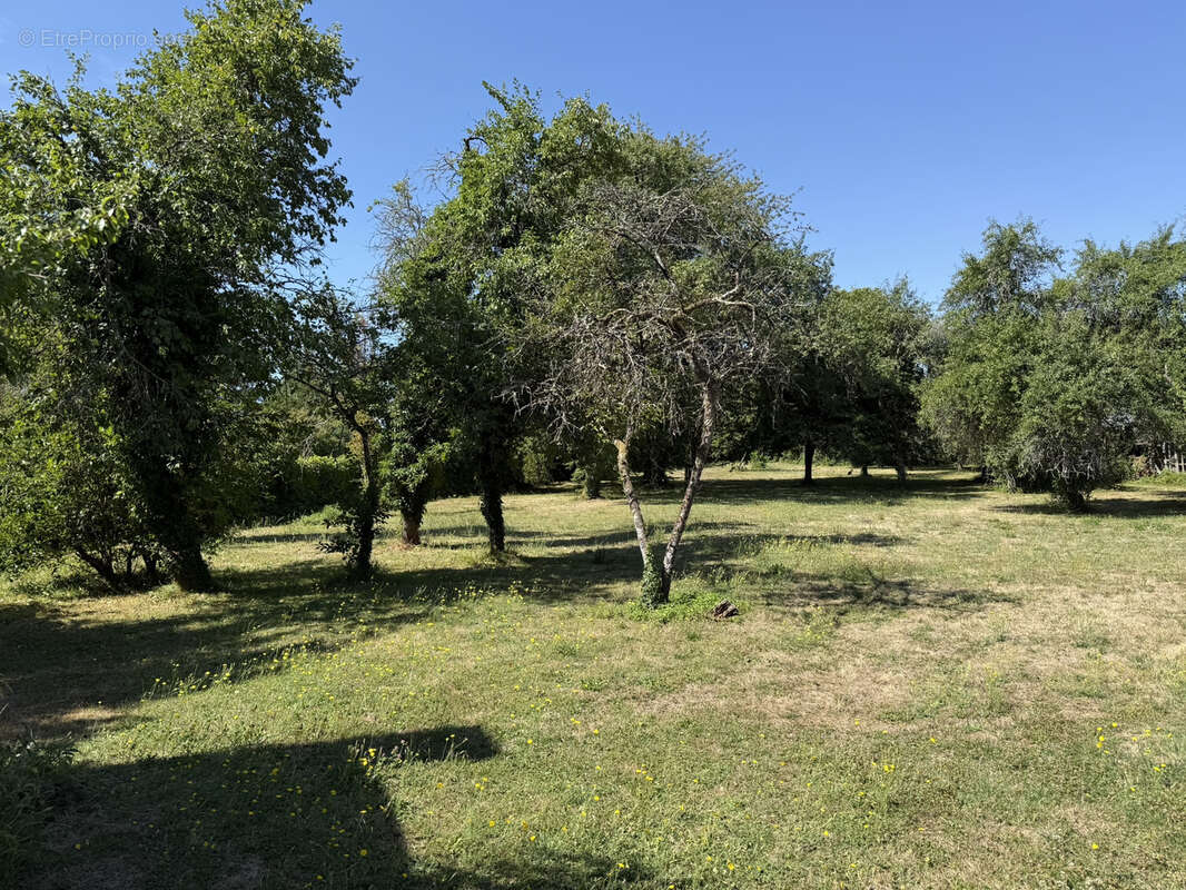 CHAMOY - Maison d'habitation 80m2 et dépendances sur un terrain de 4000m2 - photo 10