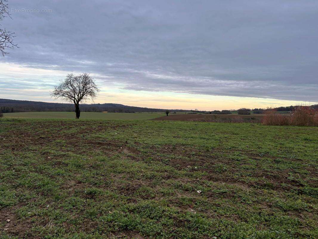 Terrain à VILLIERS-ADAM