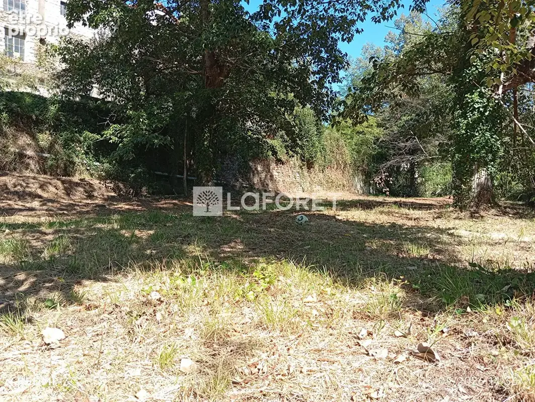 Ancien camping / 2,15 ha - prats de mollo - photo 4