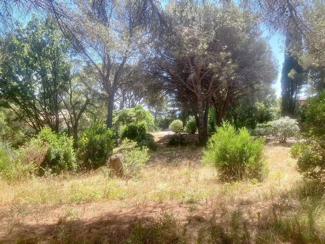 Terrain à LA CROIX-VALMER