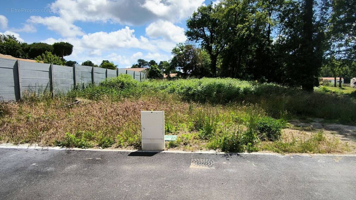 Terrain à LES MATHES