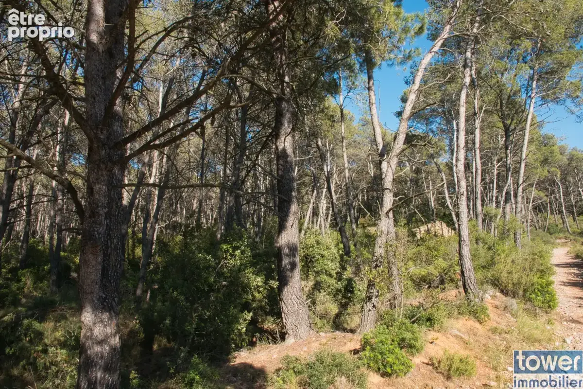 Fabrezan-Terrain 4 ha non constructible en Zone Naturelle - photo 13