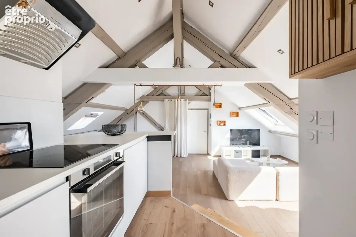 Appartement T3 58m2 au sein d'une copropriété historique - Dijon Centre Monge - photo 6