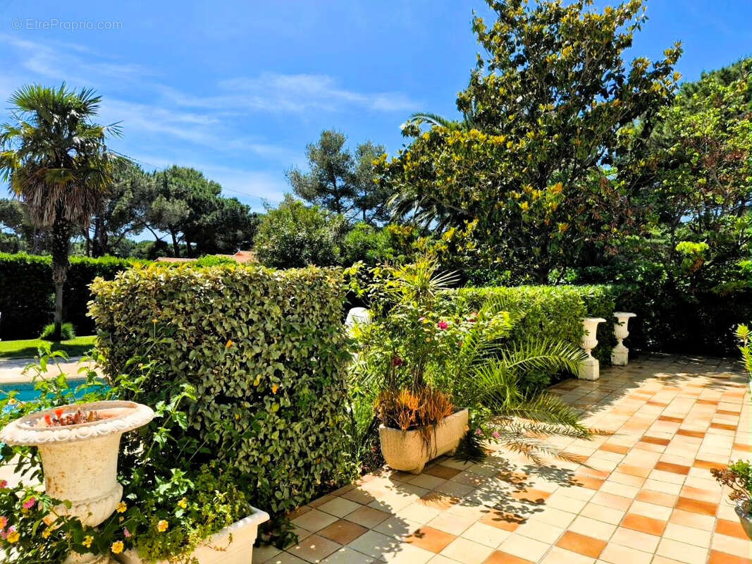 Maison à AGDE