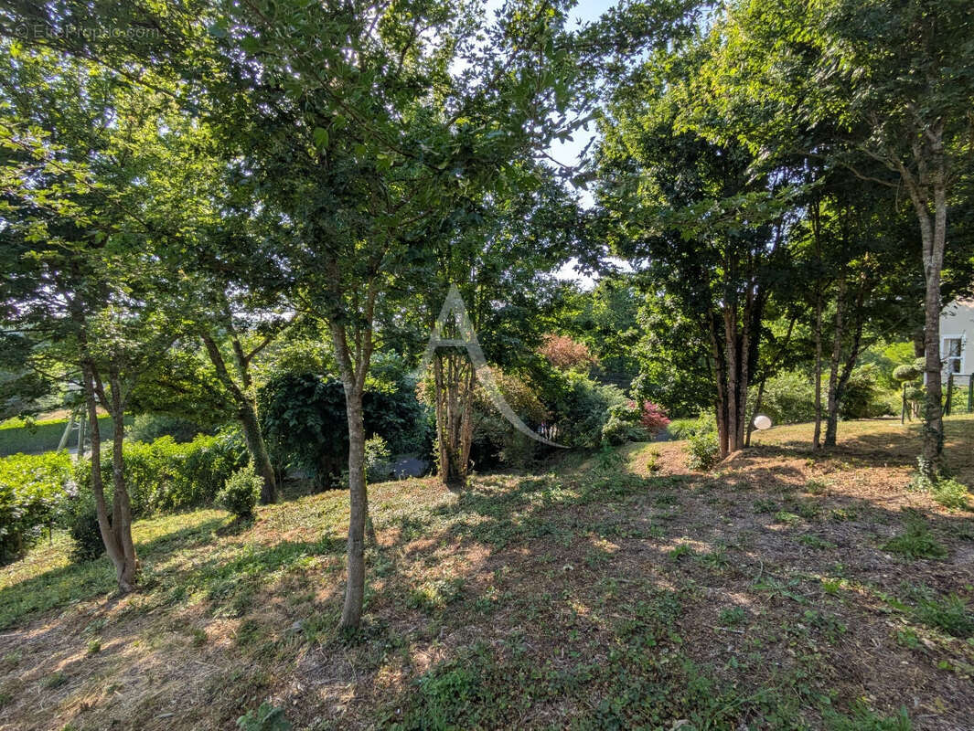 Terrain à ONZAIN