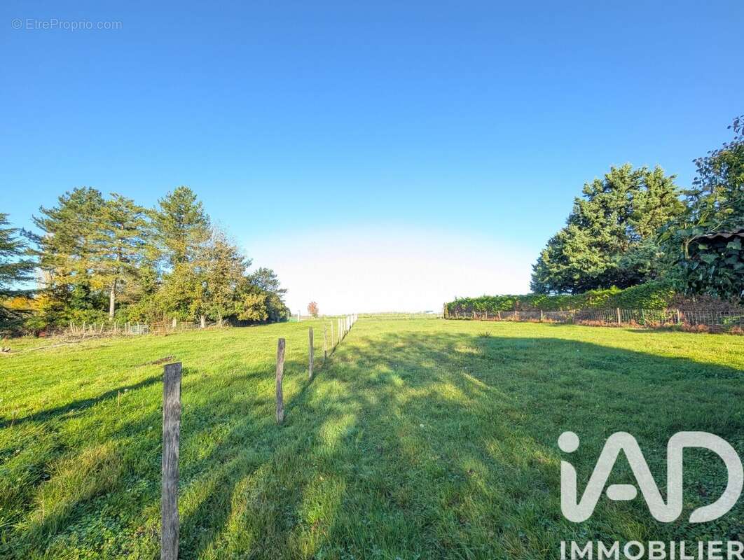 Photo 4 - Maison à BAULE