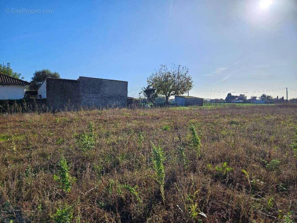 Terrain à PINS-JUSTARET