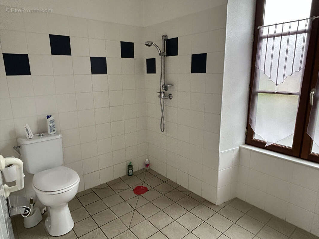 Maison 289 m² à Vaux  - photo 9