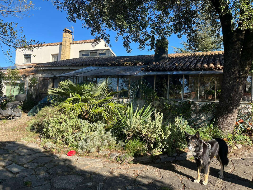Maison à SAINT-JEAN-DE-VEDAS