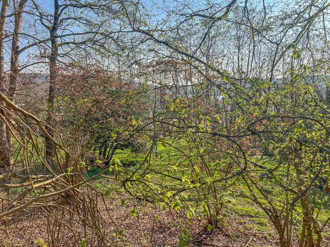 Terrain à SAINT-REMY-LES-CHEVREUSE