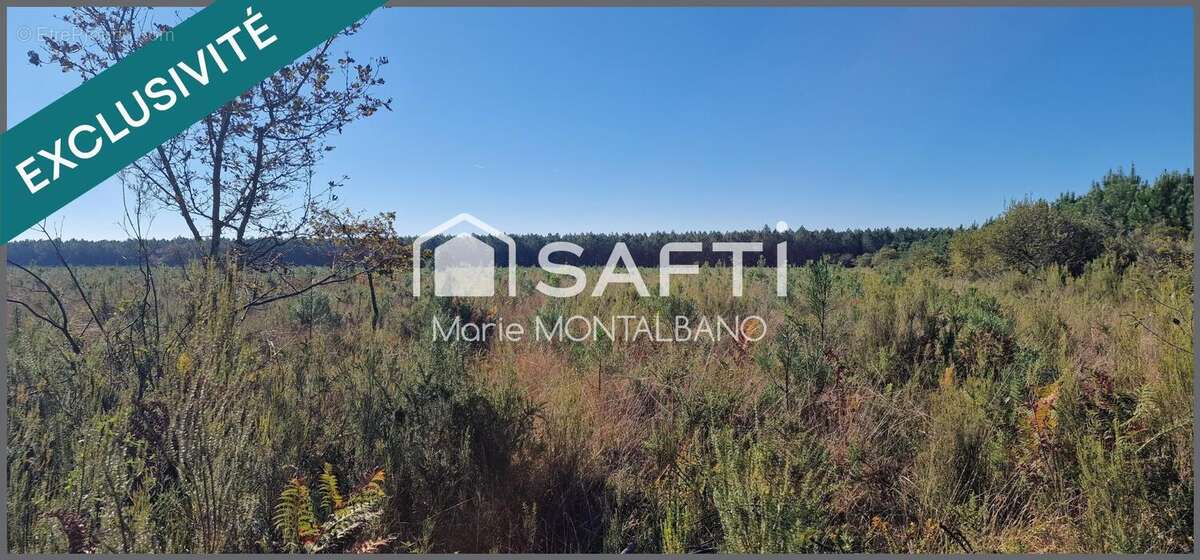 Photo 4 - Terrain à SANGUINET