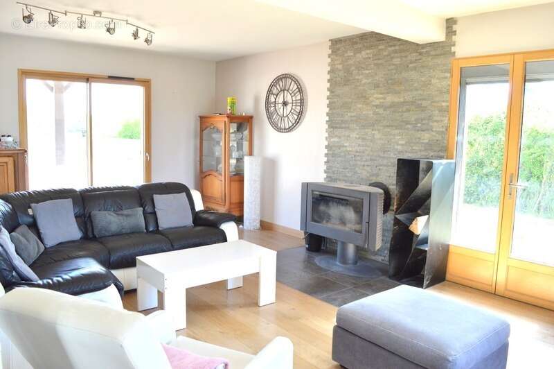 Maison à vendre 11 pièces GENOUILLY (71) - photo 4