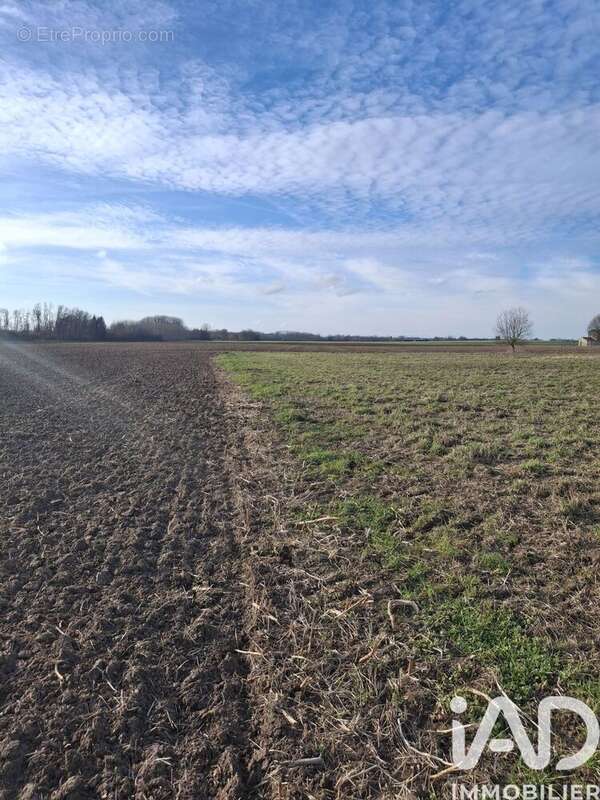 Photo 3 - Terrain à VIAPRES-LE-PETIT