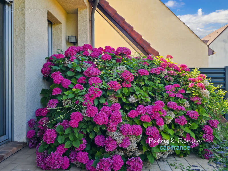 Maison à BOIS-D'ARCY