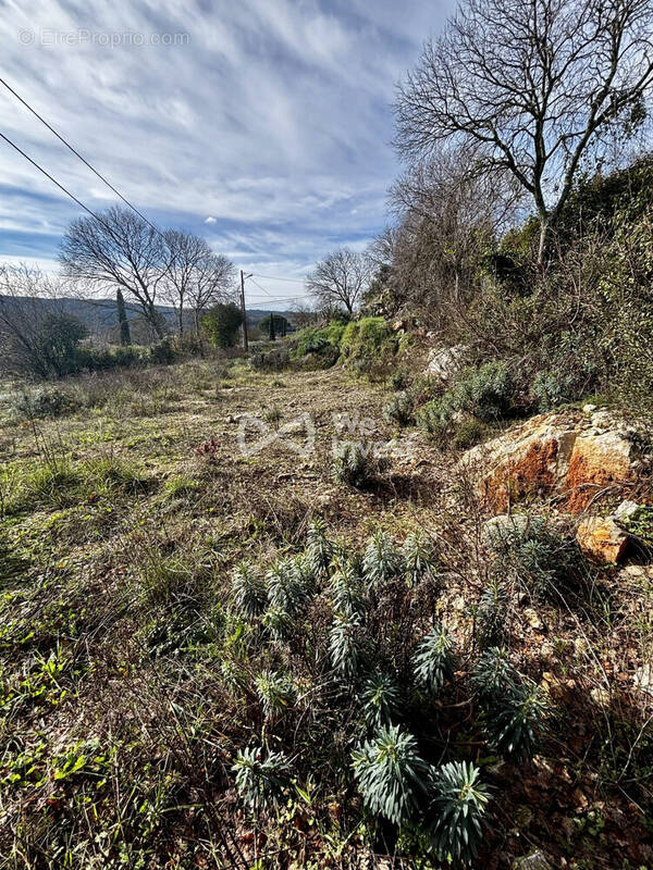 Terrain à MONTFORT-SUR-ARGENS