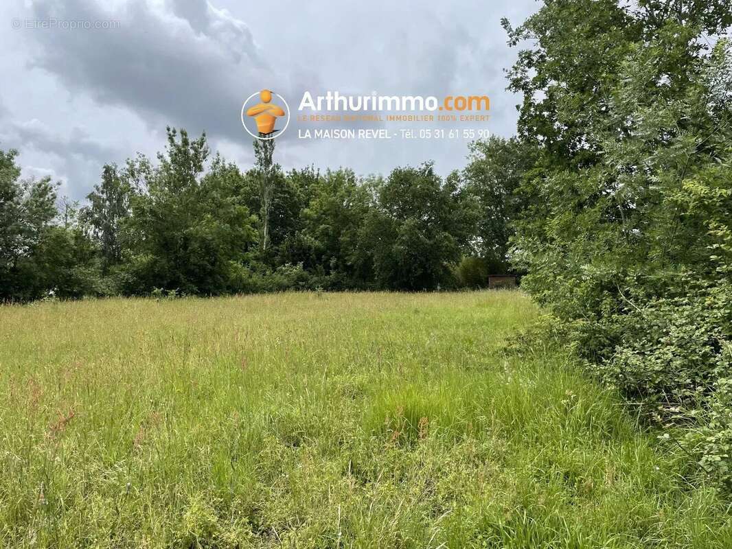 Vente Terrain Revel(31250) 77 000ï¿œ - photo 2