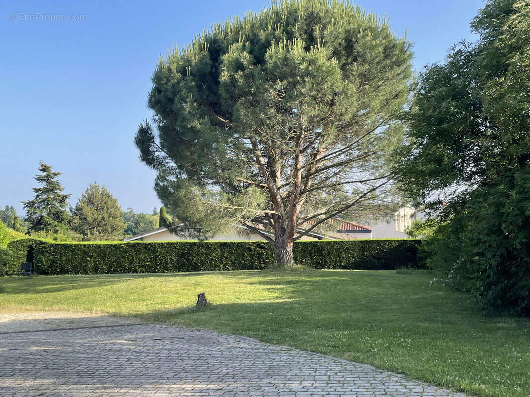 Terrain à GREZIEU-LA-VARENNE