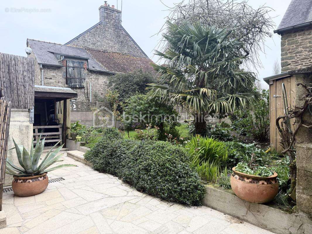 Maison à COLLINEE