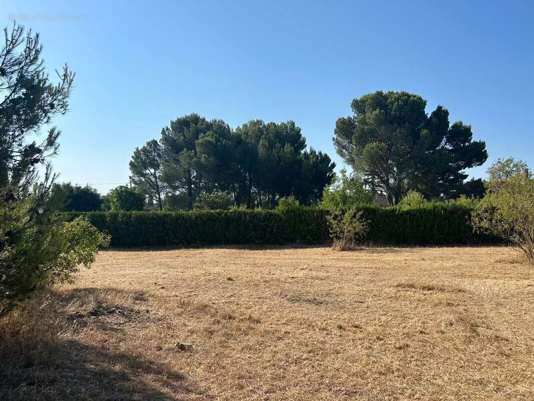A vendre : terrain plat à Mouriès 850m2 - photo 3