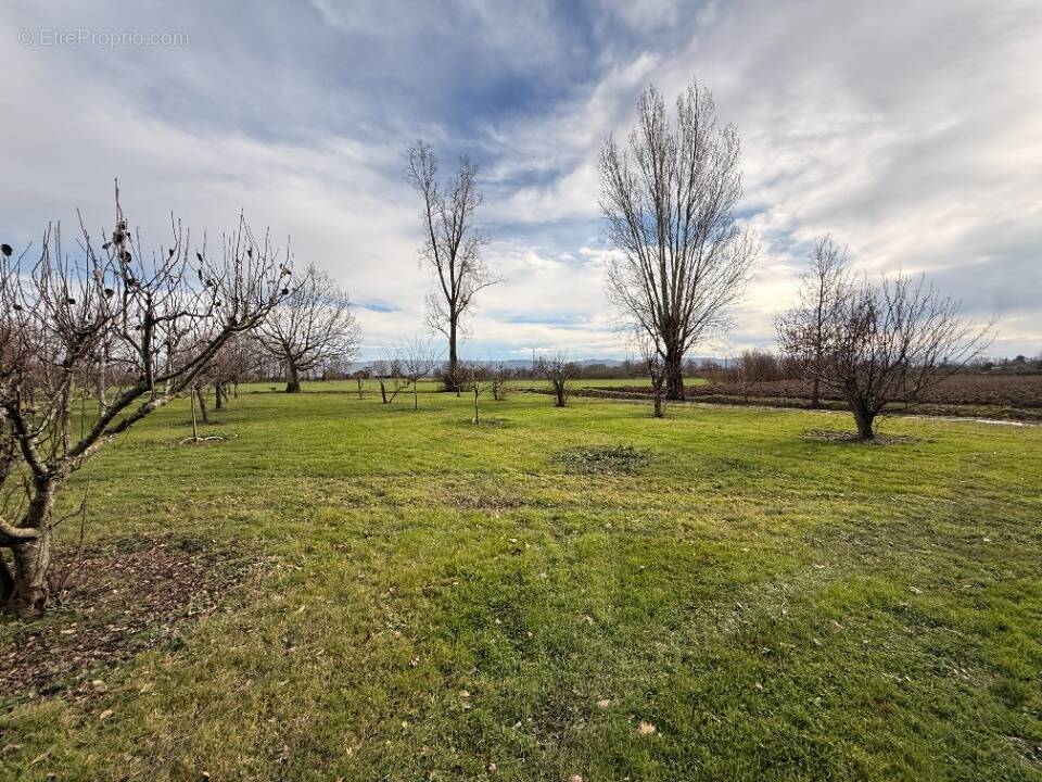Terrain 2106 m² à Poudis  - photo 1