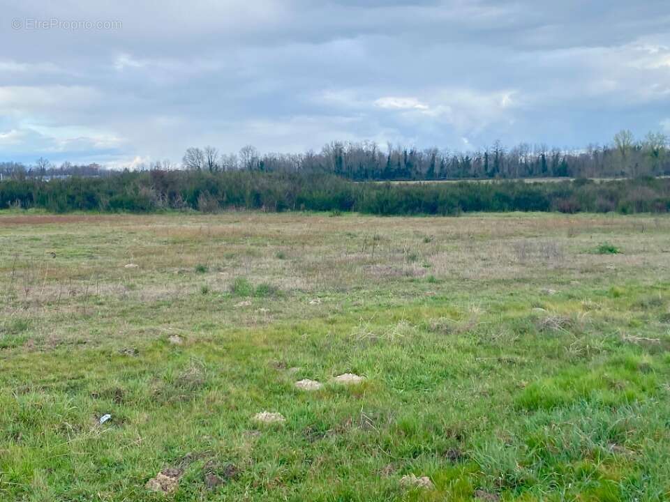 Terrain 610 m² à Landiras  - photo 4