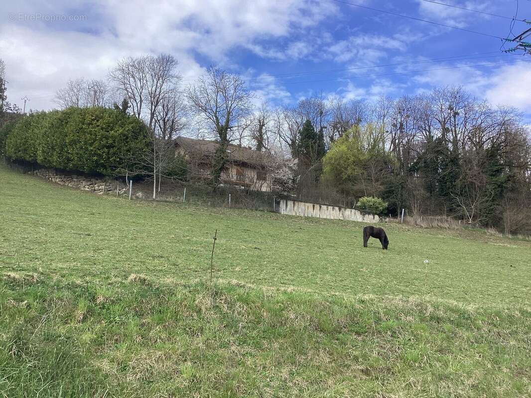 Terrain à COISE-SAINT-JEAN-PIED-GAUTHIER