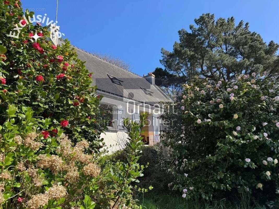 Maison à LA TRINITE-SUR-MER