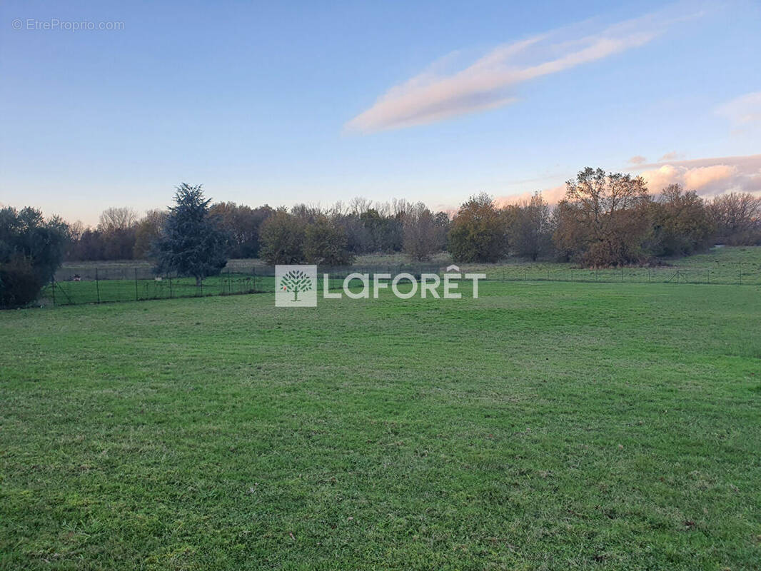 Terrain à LABASTIDE-SAINT-PIERRE