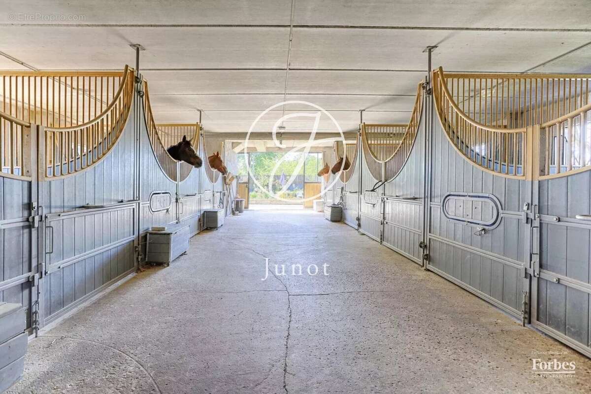 Appartement à MAISONS-LAFFITTE