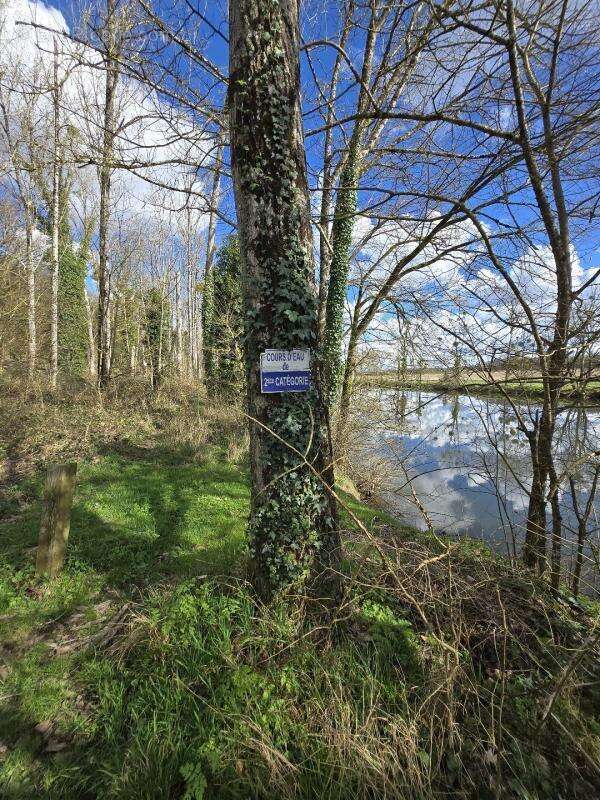 Terrain à FONTGOMBAULT