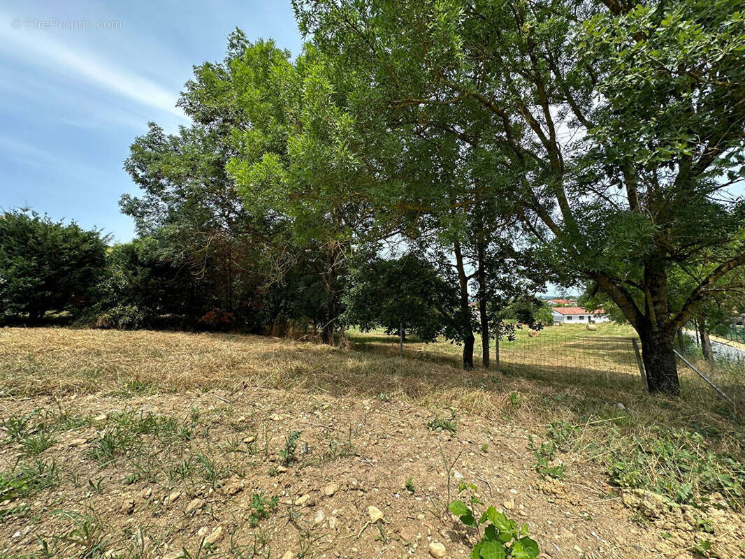 Terrain à LAVAUR